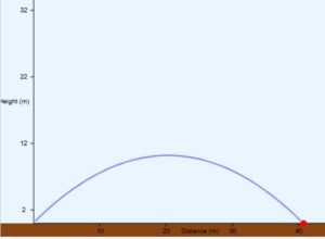 Simulations