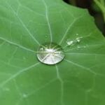 Surface Tension